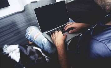 2013 Kia Soul Hamster Commercial Gangnam